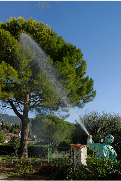 Traitement chenilles processionnaires